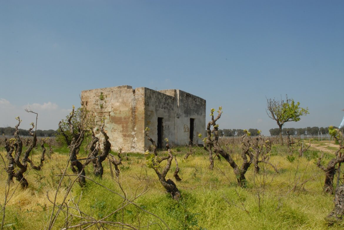 comprare casa nel salento occasioni sicuro immobiliare